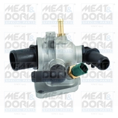 Thermostat, coolant